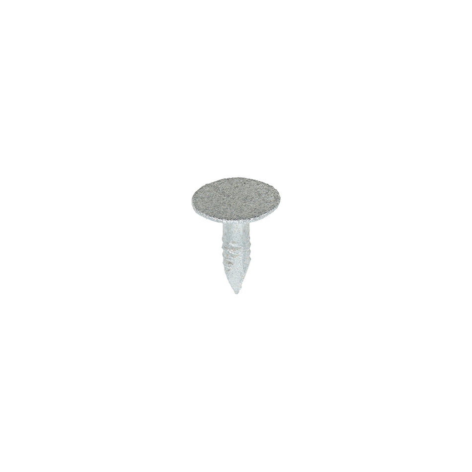 Galv Extra Large Head Clout Nails - 13mm x 3mm (500g Bag) OJ