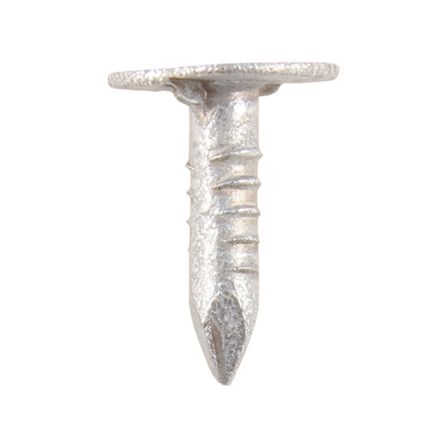 Galv Extra Large Head Clout Nails - 20mm x 3mm (500g Bag) OJ