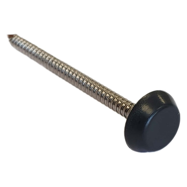 Polyhead Pin Black 50mm 100