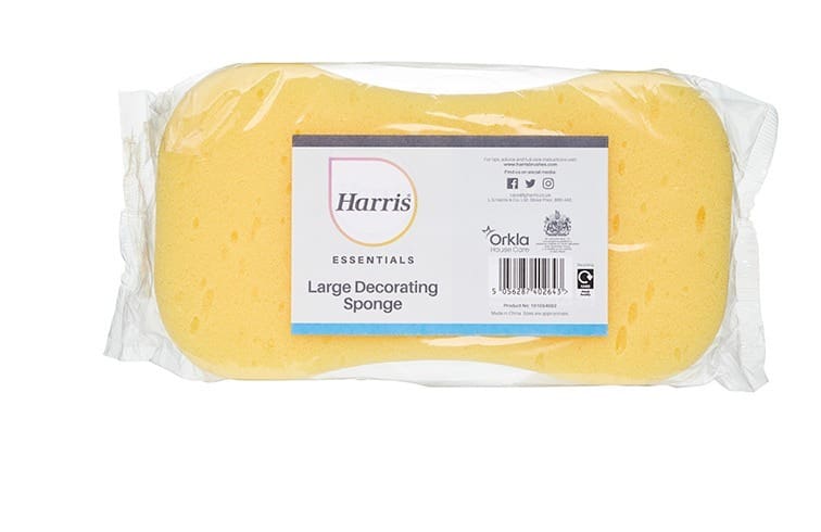 Jumbo Sponge