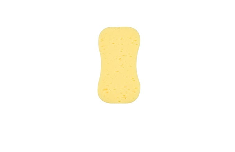Jumbo Sponge